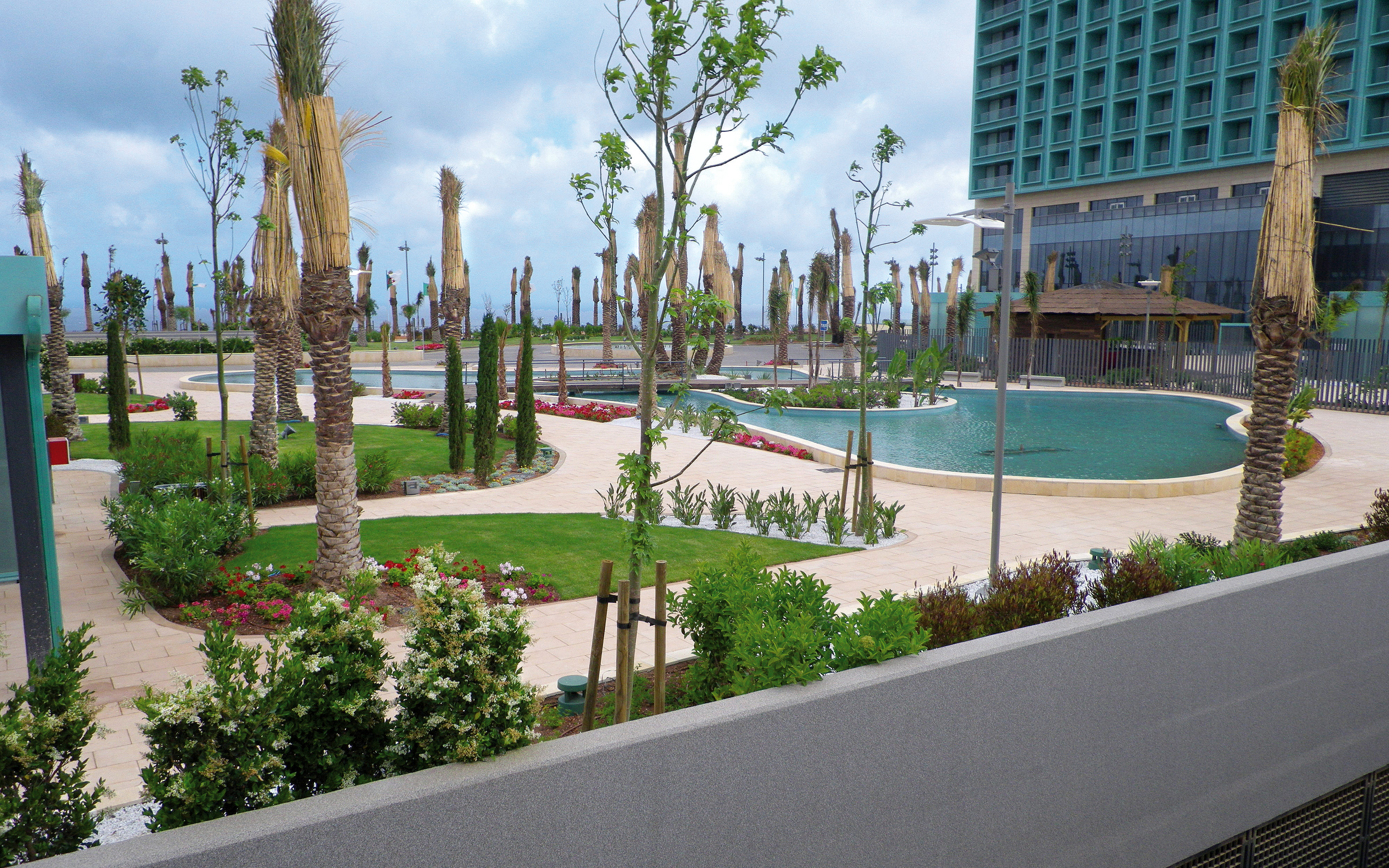 Park with palm trees and water basin